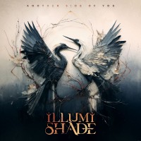 Purchase Illumishade - Another Side Of You