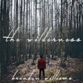 Buy Brandon Williams - The Wilderness Mp3 Download