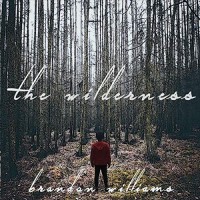 Purchase Brandon Williams - The Wilderness