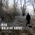 Buy Nine Walking Trees - Kristaliza Mp3 Download