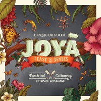 Purchase Cirque Du Soleil - Joya