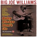 Buy Big Joe Williams - Baby Please Don't Go: The Collection 1935-1962 CD5 Mp3 Download