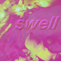 Purchase Animal Ghosts - Swell