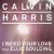 Purchase Calvin Harris- I Need Your Love (Feat. Ellie Goulding) (CDS) MP3