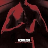 Purchase Godflesh - A World Only Lit by Fire