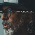 Buy Pernice Brothers - Who Will You Believe Mp3 Download