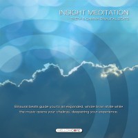 Purchase J.S. Epperson - Insight Meditation