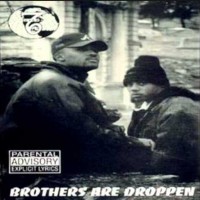 Purchase 7 Over 6 - Brothers Are Droppen