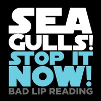 Purchase Bad Lip Reading - Seagulls! (Stop It Now!) (CDS)