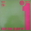 Buy VA - The What Time Is Love Story (Vinyl) Mp3 Download