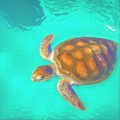 Buy Liquify - Tales Of The Turquoise Turtle Mp3 Download