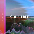 Buy Saline - Rearview (EP) Mp3 Download