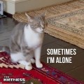 Buy The Kiffness - Sometimes I'm Alone (Lonely Cat) (CDS) Mp3 Download