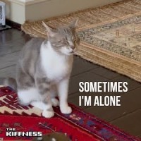 Purchase The Kiffness - Sometimes I'm Alone (Lonely Cat) (CDS)