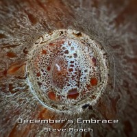 Purchase Steve Roach - December’s Embrace