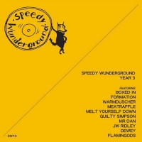 Purchase VA - Speedy Wunderground - Year 3