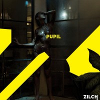 Purchase Pupil - Zilch