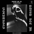 Buy David Lee - Evolution Mp3 Download