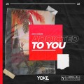 Buy Axko & Robaer - Addicted To You (CDS) Mp3 Download