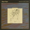 Buy Allegra Krieger - Fragile Plane: B-Sides Mp3 Download