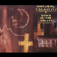 Purchase Natural Calamity - Down In The Valley (The Field Music Vol. 1)