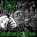 Buy Almost Dead - Destruction Is All We Know Mp3 Download