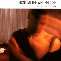 Purchase Picnic At The White House - The Doors Are Open (Vinyl)