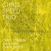 Purchase Chris Speed Trio - Despite Obstacles