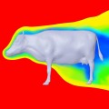 Buy The Planetoids - The Aerodynamics Of A Cow Mp3 Download