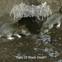 Purchase Bloody Keep - Rats Of Black Death