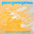 Buy Honolulu Mountain Daffodils - Guitars Of The Oceanic Undergrowth Mp3 Download