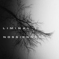 Purchase Nossiennes - Liminal (E)