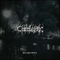 Buy Cataleptic - Strength Within Mp3 Download