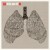 Buy Relient K - Collapsible Lung (Bonus Track Version) Mp3 Download