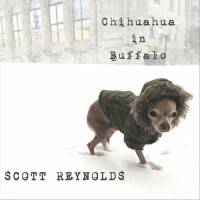 Purchase Scott Reynolds - Chihuahua In Buffalo