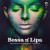 Buy VA - Bossa N' Lipa - The Electro-Bossa Songbook Of Dua Lipa Mp3 Download