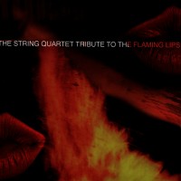 Purchase Vitamin String Quartet - The String Quartet Tribute To The Flaming Lips