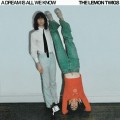 Buy The Lemon Twigs - A Dream Is All We Know Mp3 Download