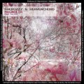 Buy Shebuzzz & Heavenchord - Magnolia Mp3 Download