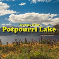 Purchase Teenage Dads - Potpourri Lake