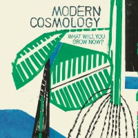 Purchase Modern Cosmology - What Will You Grow Now?