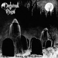 Buy Nocturnal Abyss - Among The Cold Graves Mp3 Download