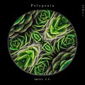 Buy Polygonia - Sēnlín Mp3 Download