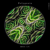 Purchase Polygonia - Sēnlín