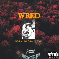Purchase Weed - Born Wrong Love