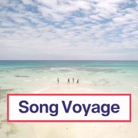 Purchase The Gregory Brothers - Song Voyage