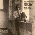 Buy Billy Bang's Survival Ensemble - New York Collage (Vinyl) Mp3 Download