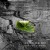 Buy Enter The Soil - That Amber Lit Morning Mp3 Download
