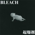 Buy Bleach - Kibakuzai Mp3 Download