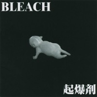 Purchase Bleach - Kibakuzai
